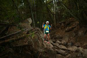 BIB: 
                            <button type="button" onclick="openModal(19549955)" class="btn btn-primary btn-sm float-right btn-popup" data-toggle="modal" data-target=".modal-high-quality">
                        <i class="fas fa-shopping-cart"></i> Add to Cart
                    </button>
                                            <button type="button" onclick="isThisMe(19549955, true)" class="btn btn-success btn-sm float-right btn-popup btn-isme hidden" data-toggle="tooltip" data-placement="bottom" title="นี่คือรูปของคุณใช่ไหม คลิกที่นี่เพื่อเอาเข้าอัลบั้ม">
                        <i class="fas fa-plus"></i> Add to album
                    </button>
                    <button type="button" onclick="isThisMe(19549955, false)" class="btn btn-warning btn-sm float-right btn-popup btn-isnotme hidden">
                        <i class="fas fa-ban"></i> Remove from album
                    </button>