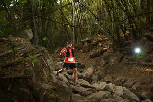 BIB: 
                            <button type="button" onclick="openModal(19550410)" class="btn btn-primary btn-sm float-right btn-popup" data-toggle="modal" data-target=".modal-high-quality">
                        <i class="fas fa-shopping-cart"></i> Add to Cart
                    </button>
                                            <button type="button" onclick="isThisMe(19550410, true)" class="btn btn-success btn-sm float-right btn-popup btn-isme hidden" data-toggle="tooltip" data-placement="bottom" title="นี่คือรูปของคุณใช่ไหม คลิกที่นี่เพื่อเอาเข้าอัลบั้ม">
                        <i class="fas fa-plus"></i> Add to album
                    </button>
                    <button type="button" onclick="isThisMe(19550410, false)" class="btn btn-warning btn-sm float-right btn-popup btn-isnotme hidden">
                        <i class="fas fa-ban"></i> Remove from album
                    </button>