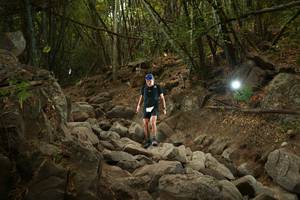 BIB: 
                            <button type="button" onclick="openModal(19550392)" class="btn btn-primary btn-sm float-right btn-popup" data-toggle="modal" data-target=".modal-high-quality">
                        <i class="fas fa-shopping-cart"></i> Add to Cart
                    </button>
                                            <button type="button" onclick="isThisMe(19550392, true)" class="btn btn-success btn-sm float-right btn-popup btn-isme hidden" data-toggle="tooltip" data-placement="bottom" title="นี่คือรูปของคุณใช่ไหม คลิกที่นี่เพื่อเอาเข้าอัลบั้ม">
                        <i class="fas fa-plus"></i> Add to album
                    </button>
                    <button type="button" onclick="isThisMe(19550392, false)" class="btn btn-warning btn-sm float-right btn-popup btn-isnotme hidden">
                        <i class="fas fa-ban"></i> Remove from album
                    </button>