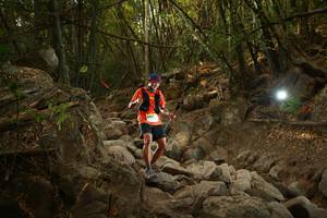 BIB: 
                            <button type="button" onclick="openModal(19550408)" class="btn btn-primary btn-sm float-right btn-popup" data-toggle="modal" data-target=".modal-high-quality">
                        <i class="fas fa-shopping-cart"></i> Add to Cart
                    </button>
                                            <button type="button" onclick="isThisMe(19550408, true)" class="btn btn-success btn-sm float-right btn-popup btn-isme hidden" data-toggle="tooltip" data-placement="bottom" title="นี่คือรูปของคุณใช่ไหม คลิกที่นี่เพื่อเอาเข้าอัลบั้ม">
                        <i class="fas fa-plus"></i> Add to album
                    </button>
                    <button type="button" onclick="isThisMe(19550408, false)" class="btn btn-warning btn-sm float-right btn-popup btn-isnotme hidden">
                        <i class="fas fa-ban"></i> Remove from album
                    </button>