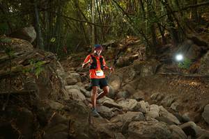 BIB: 
                            <button type="button" onclick="openModal(19550406)" class="btn btn-primary btn-sm float-right btn-popup" data-toggle="modal" data-target=".modal-high-quality">
                        <i class="fas fa-shopping-cart"></i> Add to Cart
                    </button>
                                            <button type="button" onclick="isThisMe(19550406, true)" class="btn btn-success btn-sm float-right btn-popup btn-isme hidden" data-toggle="tooltip" data-placement="bottom" title="นี่คือรูปของคุณใช่ไหม คลิกที่นี่เพื่อเอาเข้าอัลบั้ม">
                        <i class="fas fa-plus"></i> Add to album
                    </button>
                    <button type="button" onclick="isThisMe(19550406, false)" class="btn btn-warning btn-sm float-right btn-popup btn-isnotme hidden">
                        <i class="fas fa-ban"></i> Remove from album
                    </button>