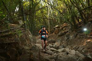 BIB: 
                            <button type="button" onclick="openModal(19550319)" class="btn btn-primary btn-sm float-right btn-popup" data-toggle="modal" data-target=".modal-high-quality">
                        <i class="fas fa-shopping-cart"></i> Add to Cart
                    </button>
                                            <button type="button" onclick="isThisMe(19550319, true)" class="btn btn-success btn-sm float-right btn-popup btn-isme hidden" data-toggle="tooltip" data-placement="bottom" title="นี่คือรูปของคุณใช่ไหม คลิกที่นี่เพื่อเอาเข้าอัลบั้ม">
                        <i class="fas fa-plus"></i> Add to album
                    </button>
                    <button type="button" onclick="isThisMe(19550319, false)" class="btn btn-warning btn-sm float-right btn-popup btn-isnotme hidden">
                        <i class="fas fa-ban"></i> Remove from album
                    </button>