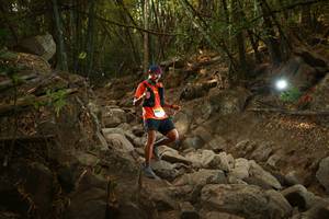 BIB: 
                            <button type="button" onclick="openModal(19550411)" class="btn btn-primary btn-sm float-right btn-popup" data-toggle="modal" data-target=".modal-high-quality">
                        <i class="fas fa-shopping-cart"></i> Add to Cart
                    </button>
                                            <button type="button" onclick="isThisMe(19550411, true)" class="btn btn-success btn-sm float-right btn-popup btn-isme hidden" data-toggle="tooltip" data-placement="bottom" title="นี่คือรูปของคุณใช่ไหม คลิกที่นี่เพื่อเอาเข้าอัลบั้ม">
                        <i class="fas fa-plus"></i> Add to album
                    </button>
                    <button type="button" onclick="isThisMe(19550411, false)" class="btn btn-warning btn-sm float-right btn-popup btn-isnotme hidden">
                        <i class="fas fa-ban"></i> Remove from album
                    </button>