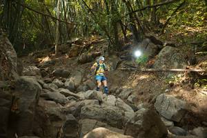 BIB: 
                            <button type="button" onclick="openModal(19550318)" class="btn btn-primary btn-sm float-right btn-popup" data-toggle="modal" data-target=".modal-high-quality">
                        <i class="fas fa-shopping-cart"></i> Add to Cart
                    </button>
                                            <button type="button" onclick="isThisMe(19550318, true)" class="btn btn-success btn-sm float-right btn-popup btn-isme hidden" data-toggle="tooltip" data-placement="bottom" title="นี่คือรูปของคุณใช่ไหม คลิกที่นี่เพื่อเอาเข้าอัลบั้ม">
                        <i class="fas fa-plus"></i> Add to album
                    </button>
                    <button type="button" onclick="isThisMe(19550318, false)" class="btn btn-warning btn-sm float-right btn-popup btn-isnotme hidden">
                        <i class="fas fa-ban"></i> Remove from album
                    </button>