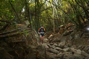 BIB: 
                            <button type="button" onclick="openModal(19550304)" class="btn btn-primary btn-sm float-right btn-popup" data-toggle="modal" data-target=".modal-high-quality">
                        <i class="fas fa-shopping-cart"></i> Add to Cart
                    </button>
                                            <button type="button" onclick="isThisMe(19550304, true)" class="btn btn-success btn-sm float-right btn-popup btn-isme hidden" data-toggle="tooltip" data-placement="bottom" title="นี่คือรูปของคุณใช่ไหม คลิกที่นี่เพื่อเอาเข้าอัลบั้ม">
                        <i class="fas fa-plus"></i> Add to album
                    </button>
                    <button type="button" onclick="isThisMe(19550304, false)" class="btn btn-warning btn-sm float-right btn-popup btn-isnotme hidden">
                        <i class="fas fa-ban"></i> Remove from album
                    </button>