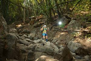 BIB: 
                            <button type="button" onclick="openModal(19550321)" class="btn btn-primary btn-sm float-right btn-popup" data-toggle="modal" data-target=".modal-high-quality">
                        <i class="fas fa-shopping-cart"></i> Add to Cart
                    </button>
                                            <button type="button" onclick="isThisMe(19550321, true)" class="btn btn-success btn-sm float-right btn-popup btn-isme hidden" data-toggle="tooltip" data-placement="bottom" title="นี่คือรูปของคุณใช่ไหม คลิกที่นี่เพื่อเอาเข้าอัลบั้ม">
                        <i class="fas fa-plus"></i> Add to album
                    </button>
                    <button type="button" onclick="isThisMe(19550321, false)" class="btn btn-warning btn-sm float-right btn-popup btn-isnotme hidden">
                        <i class="fas fa-ban"></i> Remove from album
                    </button>