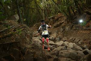 BIB: 
                            <button type="button" onclick="openModal(19550403)" class="btn btn-primary btn-sm float-right btn-popup" data-toggle="modal" data-target=".modal-high-quality">
                        <i class="fas fa-shopping-cart"></i> Add to Cart
                    </button>
                                            <button type="button" onclick="isThisMe(19550403, true)" class="btn btn-success btn-sm float-right btn-popup btn-isme hidden" data-toggle="tooltip" data-placement="bottom" title="นี่คือรูปของคุณใช่ไหม คลิกที่นี่เพื่อเอาเข้าอัลบั้ม">
                        <i class="fas fa-plus"></i> Add to album
                    </button>
                    <button type="button" onclick="isThisMe(19550403, false)" class="btn btn-warning btn-sm float-right btn-popup btn-isnotme hidden">
                        <i class="fas fa-ban"></i> Remove from album
                    </button>