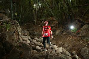 BIB: 
                            <button type="button" onclick="openModal(19550570)" class="btn btn-primary btn-sm float-right btn-popup" data-toggle="modal" data-target=".modal-high-quality">
                        <i class="fas fa-shopping-cart"></i> Add to Cart
                    </button>
                                            <button type="button" onclick="isThisMe(19550570, true)" class="btn btn-success btn-sm float-right btn-popup btn-isme hidden" data-toggle="tooltip" data-placement="bottom" title="นี่คือรูปของคุณใช่ไหม คลิกที่นี่เพื่อเอาเข้าอัลบั้ม">
                        <i class="fas fa-plus"></i> Add to album
                    </button>
                    <button type="button" onclick="isThisMe(19550570, false)" class="btn btn-warning btn-sm float-right btn-popup btn-isnotme hidden">
                        <i class="fas fa-ban"></i> Remove from album
                    </button>