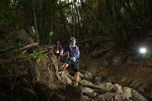 BIB: 
                            <button type="button" onclick="openModal(19550941)" class="btn btn-primary btn-sm float-right btn-popup" data-toggle="modal" data-target=".modal-high-quality">
                        <i class="fas fa-shopping-cart"></i> Add to Cart
                    </button>
                                            <button type="button" onclick="isThisMe(19550941, true)" class="btn btn-success btn-sm float-right btn-popup btn-isme hidden" data-toggle="tooltip" data-placement="bottom" title="นี่คือรูปของคุณใช่ไหม คลิกที่นี่เพื่อเอาเข้าอัลบั้ม">
                        <i class="fas fa-plus"></i> Add to album
                    </button>
                    <button type="button" onclick="isThisMe(19550941, false)" class="btn btn-warning btn-sm float-right btn-popup btn-isnotme hidden">
                        <i class="fas fa-ban"></i> Remove from album
                    </button>