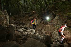 BIB: 
                            <button type="button" onclick="openModal(19550631)" class="btn btn-primary btn-sm float-right btn-popup" data-toggle="modal" data-target=".modal-high-quality">
                        <i class="fas fa-shopping-cart"></i> Add to Cart
                    </button>
                                            <button type="button" onclick="isThisMe(19550631, true)" class="btn btn-success btn-sm float-right btn-popup btn-isme hidden" data-toggle="tooltip" data-placement="bottom" title="นี่คือรูปของคุณใช่ไหม คลิกที่นี่เพื่อเอาเข้าอัลบั้ม">
                        <i class="fas fa-plus"></i> Add to album
                    </button>
                    <button type="button" onclick="isThisMe(19550631, false)" class="btn btn-warning btn-sm float-right btn-popup btn-isnotme hidden">
                        <i class="fas fa-ban"></i> Remove from album
                    </button>