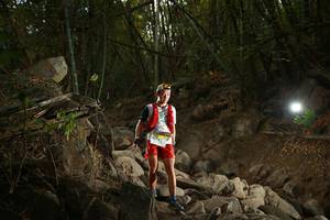 BIB: 
                            <button type="button" onclick="openModal(19551001)" class="btn btn-primary btn-sm float-right btn-popup" data-toggle="modal" data-target=".modal-high-quality">
                        <i class="fas fa-shopping-cart"></i> Add to Cart
                    </button>
                                            <button type="button" onclick="isThisMe(19551001, true)" class="btn btn-success btn-sm float-right btn-popup btn-isme hidden" data-toggle="tooltip" data-placement="bottom" title="นี่คือรูปของคุณใช่ไหม คลิกที่นี่เพื่อเอาเข้าอัลบั้ม">
                        <i class="fas fa-plus"></i> Add to album
                    </button>
                    <button type="button" onclick="isThisMe(19551001, false)" class="btn btn-warning btn-sm float-right btn-popup btn-isnotme hidden">
                        <i class="fas fa-ban"></i> Remove from album
                    </button>