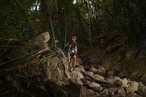 BIB: 
                            <button type="button" onclick="openModal(19550834)" class="btn btn-primary btn-sm float-right btn-popup" data-toggle="modal" data-target=".modal-high-quality">
                        <i class="fas fa-shopping-cart"></i> Add to Cart
                    </button>
                                            <button type="button" onclick="isThisMe(19550834, true)" class="btn btn-success btn-sm float-right btn-popup btn-isme hidden" data-toggle="tooltip" data-placement="bottom" title="นี่คือรูปของคุณใช่ไหม คลิกที่นี่เพื่อเอาเข้าอัลบั้ม">
                        <i class="fas fa-plus"></i> Add to album
                    </button>
                    <button type="button" onclick="isThisMe(19550834, false)" class="btn btn-warning btn-sm float-right btn-popup btn-isnotme hidden">
                        <i class="fas fa-ban"></i> Remove from album
                    </button>