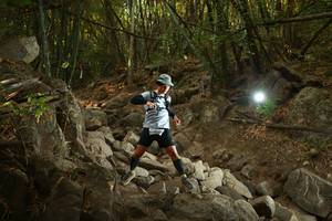 BIB: 
                            <button type="button" onclick="openModal(19551232)" class="btn btn-primary btn-sm float-right btn-popup" data-toggle="modal" data-target=".modal-high-quality">
                        <i class="fas fa-shopping-cart"></i> Add to Cart
                    </button>
                                            <button type="button" onclick="isThisMe(19551232, true)" class="btn btn-success btn-sm float-right btn-popup btn-isme hidden" data-toggle="tooltip" data-placement="bottom" title="นี่คือรูปของคุณใช่ไหม คลิกที่นี่เพื่อเอาเข้าอัลบั้ม">
                        <i class="fas fa-plus"></i> Add to album
                    </button>
                    <button type="button" onclick="isThisMe(19551232, false)" class="btn btn-warning btn-sm float-right btn-popup btn-isnotme hidden">
                        <i class="fas fa-ban"></i> Remove from album
                    </button>