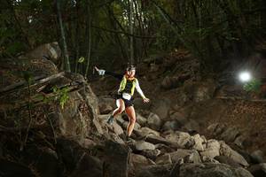 BIB: 
                            <button type="button" onclick="openModal(19551025)" class="btn btn-primary btn-sm float-right btn-popup" data-toggle="modal" data-target=".modal-high-quality">
                        <i class="fas fa-shopping-cart"></i> Add to Cart
                    </button>
                                            <button type="button" onclick="isThisMe(19551025, true)" class="btn btn-success btn-sm float-right btn-popup btn-isme hidden" data-toggle="tooltip" data-placement="bottom" title="นี่คือรูปของคุณใช่ไหม คลิกที่นี่เพื่อเอาเข้าอัลบั้ม">
                        <i class="fas fa-plus"></i> Add to album
                    </button>
                    <button type="button" onclick="isThisMe(19551025, false)" class="btn btn-warning btn-sm float-right btn-popup btn-isnotme hidden">
                        <i class="fas fa-ban"></i> Remove from album
                    </button>