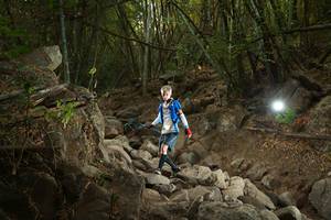 BIB: 
                            <button type="button" onclick="openModal(19551088)" class="btn btn-primary btn-sm float-right btn-popup" data-toggle="modal" data-target=".modal-high-quality">
                        <i class="fas fa-shopping-cart"></i> Add to Cart
                    </button>
                                            <button type="button" onclick="isThisMe(19551088, true)" class="btn btn-success btn-sm float-right btn-popup btn-isme hidden" data-toggle="tooltip" data-placement="bottom" title="นี่คือรูปของคุณใช่ไหม คลิกที่นี่เพื่อเอาเข้าอัลบั้ม">
                        <i class="fas fa-plus"></i> Add to album
                    </button>
                    <button type="button" onclick="isThisMe(19551088, false)" class="btn btn-warning btn-sm float-right btn-popup btn-isnotme hidden">
                        <i class="fas fa-ban"></i> Remove from album
                    </button>