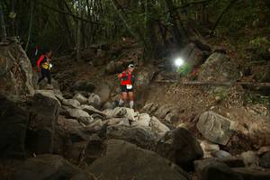 BIB: 
                            <button type="button" onclick="openModal(19550621)" class="btn btn-primary btn-sm float-right btn-popup" data-toggle="modal" data-target=".modal-high-quality">
                        <i class="fas fa-shopping-cart"></i> Add to Cart
                    </button>
                                            <button type="button" onclick="isThisMe(19550621, true)" class="btn btn-success btn-sm float-right btn-popup btn-isme hidden" data-toggle="tooltip" data-placement="bottom" title="นี่คือรูปของคุณใช่ไหม คลิกที่นี่เพื่อเอาเข้าอัลบั้ม">
                        <i class="fas fa-plus"></i> Add to album
                    </button>
                    <button type="button" onclick="isThisMe(19550621, false)" class="btn btn-warning btn-sm float-right btn-popup btn-isnotme hidden">
                        <i class="fas fa-ban"></i> Remove from album
                    </button>