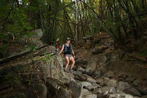 BIB: 
                            <button type="button" onclick="openModal(19551308)" class="btn btn-primary btn-sm float-right btn-popup" data-toggle="modal" data-target=".modal-high-quality">
                        <i class="fas fa-shopping-cart"></i> Add to Cart
                    </button>
                                            <button type="button" onclick="isThisMe(19551308, true)" class="btn btn-success btn-sm float-right btn-popup btn-isme hidden" data-toggle="tooltip" data-placement="bottom" title="นี่คือรูปของคุณใช่ไหม คลิกที่นี่เพื่อเอาเข้าอัลบั้ม">
                        <i class="fas fa-plus"></i> Add to album
                    </button>
                    <button type="button" onclick="isThisMe(19551308, false)" class="btn btn-warning btn-sm float-right btn-popup btn-isnotme hidden">
                        <i class="fas fa-ban"></i> Remove from album
                    </button>