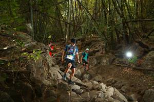 BIB: 
                            <button type="button" onclick="openModal(19551195)" class="btn btn-primary btn-sm float-right btn-popup" data-toggle="modal" data-target=".modal-high-quality">
                        <i class="fas fa-shopping-cart"></i> Add to Cart
                    </button>
                                            <button type="button" onclick="isThisMe(19551195, true)" class="btn btn-success btn-sm float-right btn-popup btn-isme hidden" data-toggle="tooltip" data-placement="bottom" title="นี่คือรูปของคุณใช่ไหม คลิกที่นี่เพื่อเอาเข้าอัลบั้ม">
                        <i class="fas fa-plus"></i> Add to album
                    </button>
                    <button type="button" onclick="isThisMe(19551195, false)" class="btn btn-warning btn-sm float-right btn-popup btn-isnotme hidden">
                        <i class="fas fa-ban"></i> Remove from album
                    </button>