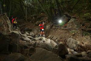 BIB: 
                            <button type="button" onclick="openModal(19550617)" class="btn btn-primary btn-sm float-right btn-popup" data-toggle="modal" data-target=".modal-high-quality">
                        <i class="fas fa-shopping-cart"></i> Add to Cart
                    </button>
                                            <button type="button" onclick="isThisMe(19550617, true)" class="btn btn-success btn-sm float-right btn-popup btn-isme hidden" data-toggle="tooltip" data-placement="bottom" title="นี่คือรูปของคุณใช่ไหม คลิกที่นี่เพื่อเอาเข้าอัลบั้ม">
                        <i class="fas fa-plus"></i> Add to album
                    </button>
                    <button type="button" onclick="isThisMe(19550617, false)" class="btn btn-warning btn-sm float-right btn-popup btn-isnotme hidden">
                        <i class="fas fa-ban"></i> Remove from album
                    </button>