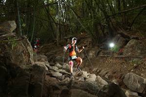 BIB: 
                            <button type="button" onclick="openModal(19550597)" class="btn btn-primary btn-sm float-right btn-popup" data-toggle="modal" data-target=".modal-high-quality">
                        <i class="fas fa-shopping-cart"></i> Add to Cart
                    </button>
                                            <button type="button" onclick="isThisMe(19550597, true)" class="btn btn-success btn-sm float-right btn-popup btn-isme hidden" data-toggle="tooltip" data-placement="bottom" title="นี่คือรูปของคุณใช่ไหม คลิกที่นี่เพื่อเอาเข้าอัลบั้ม">
                        <i class="fas fa-plus"></i> Add to album
                    </button>
                    <button type="button" onclick="isThisMe(19550597, false)" class="btn btn-warning btn-sm float-right btn-popup btn-isnotme hidden">
                        <i class="fas fa-ban"></i> Remove from album
                    </button>