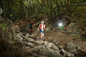 BIB: 
                            <button type="button" onclick="openModal(19551163)" class="btn btn-primary btn-sm float-right btn-popup" data-toggle="modal" data-target=".modal-high-quality">
                        <i class="fas fa-shopping-cart"></i> Add to Cart
                    </button>
                                            <button type="button" onclick="isThisMe(19551163, true)" class="btn btn-success btn-sm float-right btn-popup btn-isme hidden" data-toggle="tooltip" data-placement="bottom" title="นี่คือรูปของคุณใช่ไหม คลิกที่นี่เพื่อเอาเข้าอัลบั้ม">
                        <i class="fas fa-plus"></i> Add to album
                    </button>
                    <button type="button" onclick="isThisMe(19551163, false)" class="btn btn-warning btn-sm float-right btn-popup btn-isnotme hidden">
                        <i class="fas fa-ban"></i> Remove from album
                    </button>