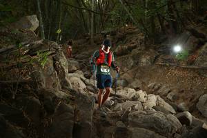 BIB: 
                            <button type="button" onclick="openModal(19551070)" class="btn btn-primary btn-sm float-right btn-popup" data-toggle="modal" data-target=".modal-high-quality">
                        <i class="fas fa-shopping-cart"></i> Add to Cart
                    </button>
                                            <button type="button" onclick="isThisMe(19551070, true)" class="btn btn-success btn-sm float-right btn-popup btn-isme hidden" data-toggle="tooltip" data-placement="bottom" title="นี่คือรูปของคุณใช่ไหม คลิกที่นี่เพื่อเอาเข้าอัลบั้ม">
                        <i class="fas fa-plus"></i> Add to album
                    </button>
                    <button type="button" onclick="isThisMe(19551070, false)" class="btn btn-warning btn-sm float-right btn-popup btn-isnotme hidden">
                        <i class="fas fa-ban"></i> Remove from album
                    </button>