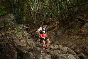 BIB: 
                            <button type="button" onclick="openModal(19550904)" class="btn btn-primary btn-sm float-right btn-popup" data-toggle="modal" data-target=".modal-high-quality">
                        <i class="fas fa-shopping-cart"></i> Add to Cart
                    </button>
                                            <button type="button" onclick="isThisMe(19550904, true)" class="btn btn-success btn-sm float-right btn-popup btn-isme hidden" data-toggle="tooltip" data-placement="bottom" title="นี่คือรูปของคุณใช่ไหม คลิกที่นี่เพื่อเอาเข้าอัลบั้ม">
                        <i class="fas fa-plus"></i> Add to album
                    </button>
                    <button type="button" onclick="isThisMe(19550904, false)" class="btn btn-warning btn-sm float-right btn-popup btn-isnotme hidden">
                        <i class="fas fa-ban"></i> Remove from album
                    </button>