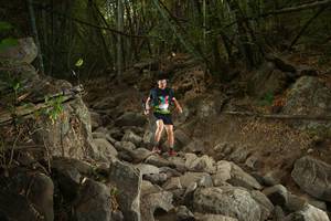 BIB: 
                            <button type="button" onclick="openModal(19551217)" class="btn btn-primary btn-sm float-right btn-popup" data-toggle="modal" data-target=".modal-high-quality">
                        <i class="fas fa-shopping-cart"></i> Add to Cart
                    </button>
                                            <button type="button" onclick="isThisMe(19551217, true)" class="btn btn-success btn-sm float-right btn-popup btn-isme hidden" data-toggle="tooltip" data-placement="bottom" title="นี่คือรูปของคุณใช่ไหม คลิกที่นี่เพื่อเอาเข้าอัลบั้ม">
                        <i class="fas fa-plus"></i> Add to album
                    </button>
                    <button type="button" onclick="isThisMe(19551217, false)" class="btn btn-warning btn-sm float-right btn-popup btn-isnotme hidden">
                        <i class="fas fa-ban"></i> Remove from album
                    </button>