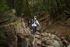 BIB: 
                            <button type="button" onclick="openModal(19551098)" class="btn btn-primary btn-sm float-right btn-popup" data-toggle="modal" data-target=".modal-high-quality">
                        <i class="fas fa-shopping-cart"></i> Add to Cart
                    </button>
                                            <button type="button" onclick="isThisMe(19551098, true)" class="btn btn-success btn-sm float-right btn-popup btn-isme hidden" data-toggle="tooltip" data-placement="bottom" title="นี่คือรูปของคุณใช่ไหม คลิกที่นี่เพื่อเอาเข้าอัลบั้ม">
                        <i class="fas fa-plus"></i> Add to album
                    </button>
                    <button type="button" onclick="isThisMe(19551098, false)" class="btn btn-warning btn-sm float-right btn-popup btn-isnotme hidden">
                        <i class="fas fa-ban"></i> Remove from album
                    </button>