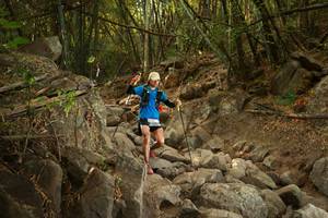 BIB: 
                            <button type="button" onclick="openModal(19550823)" class="btn btn-primary btn-sm float-right btn-popup" data-toggle="modal" data-target=".modal-high-quality">
                        <i class="fas fa-shopping-cart"></i> Add to Cart
                    </button>
                                            <button type="button" onclick="isThisMe(19550823, true)" class="btn btn-success btn-sm float-right btn-popup btn-isme hidden" data-toggle="tooltip" data-placement="bottom" title="นี่คือรูปของคุณใช่ไหม คลิกที่นี่เพื่อเอาเข้าอัลบั้ม">
                        <i class="fas fa-plus"></i> Add to album
                    </button>
                    <button type="button" onclick="isThisMe(19550823, false)" class="btn btn-warning btn-sm float-right btn-popup btn-isnotme hidden">
                        <i class="fas fa-ban"></i> Remove from album
                    </button>