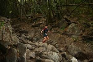 BIB: 
                            <button type="button" onclick="openModal(19550942)" class="btn btn-primary btn-sm float-right btn-popup" data-toggle="modal" data-target=".modal-high-quality">
                        <i class="fas fa-shopping-cart"></i> Add to Cart
                    </button>
                                            <button type="button" onclick="isThisMe(19550942, true)" class="btn btn-success btn-sm float-right btn-popup btn-isme hidden" data-toggle="tooltip" data-placement="bottom" title="นี่คือรูปของคุณใช่ไหม คลิกที่นี่เพื่อเอาเข้าอัลบั้ม">
                        <i class="fas fa-plus"></i> Add to album
                    </button>
                    <button type="button" onclick="isThisMe(19550942, false)" class="btn btn-warning btn-sm float-right btn-popup btn-isnotme hidden">
                        <i class="fas fa-ban"></i> Remove from album
                    </button>