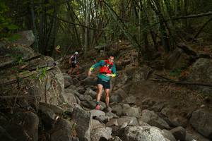 BIB: 
                            <button type="button" onclick="openModal(19550576)" class="btn btn-primary btn-sm float-right btn-popup" data-toggle="modal" data-target=".modal-high-quality">
                        <i class="fas fa-shopping-cart"></i> Add to Cart
                    </button>
                                            <button type="button" onclick="isThisMe(19550576, true)" class="btn btn-success btn-sm float-right btn-popup btn-isme hidden" data-toggle="tooltip" data-placement="bottom" title="นี่คือรูปของคุณใช่ไหม คลิกที่นี่เพื่อเอาเข้าอัลบั้ม">
                        <i class="fas fa-plus"></i> Add to album
                    </button>
                    <button type="button" onclick="isThisMe(19550576, false)" class="btn btn-warning btn-sm float-right btn-popup btn-isnotme hidden">
                        <i class="fas fa-ban"></i> Remove from album
                    </button>