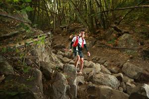 BIB: 
                            <button type="button" onclick="openModal(19551397)" class="btn btn-primary btn-sm float-right btn-popup" data-toggle="modal" data-target=".modal-high-quality">
                        <i class="fas fa-shopping-cart"></i> Add to Cart
                    </button>
                                            <button type="button" onclick="isThisMe(19551397, true)" class="btn btn-success btn-sm float-right btn-popup btn-isme hidden" data-toggle="tooltip" data-placement="bottom" title="นี่คือรูปของคุณใช่ไหม คลิกที่นี่เพื่อเอาเข้าอัลบั้ม">
                        <i class="fas fa-plus"></i> Add to album
                    </button>
                    <button type="button" onclick="isThisMe(19551397, false)" class="btn btn-warning btn-sm float-right btn-popup btn-isnotme hidden">
                        <i class="fas fa-ban"></i> Remove from album
                    </button>