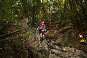 BIB: 
                            <button type="button" onclick="openModal(19550748)" class="btn btn-primary btn-sm float-right btn-popup" data-toggle="modal" data-target=".modal-high-quality">
                        <i class="fas fa-shopping-cart"></i> Add to Cart
                    </button>
                                            <button type="button" onclick="isThisMe(19550748, true)" class="btn btn-success btn-sm float-right btn-popup btn-isme hidden" data-toggle="tooltip" data-placement="bottom" title="นี่คือรูปของคุณใช่ไหม คลิกที่นี่เพื่อเอาเข้าอัลบั้ม">
                        <i class="fas fa-plus"></i> Add to album
                    </button>
                    <button type="button" onclick="isThisMe(19550748, false)" class="btn btn-warning btn-sm float-right btn-popup btn-isnotme hidden">
                        <i class="fas fa-ban"></i> Remove from album
                    </button>