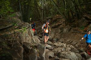 BIB: 
                            <button type="button" onclick="openModal(19551156)" class="btn btn-primary btn-sm float-right btn-popup" data-toggle="modal" data-target=".modal-high-quality">
                        <i class="fas fa-shopping-cart"></i> Add to Cart
                    </button>
                                            <button type="button" onclick="isThisMe(19551156, true)" class="btn btn-success btn-sm float-right btn-popup btn-isme hidden" data-toggle="tooltip" data-placement="bottom" title="นี่คือรูปของคุณใช่ไหม คลิกที่นี่เพื่อเอาเข้าอัลบั้ม">
                        <i class="fas fa-plus"></i> Add to album
                    </button>
                    <button type="button" onclick="isThisMe(19551156, false)" class="btn btn-warning btn-sm float-right btn-popup btn-isnotme hidden">
                        <i class="fas fa-ban"></i> Remove from album
                    </button>