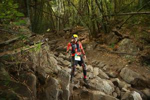 BIB: 
                            <button type="button" onclick="openModal(19551358)" class="btn btn-primary btn-sm float-right btn-popup" data-toggle="modal" data-target=".modal-high-quality">
                        <i class="fas fa-shopping-cart"></i> Add to Cart
                    </button>
                                            <button type="button" onclick="isThisMe(19551358, true)" class="btn btn-success btn-sm float-right btn-popup btn-isme hidden" data-toggle="tooltip" data-placement="bottom" title="นี่คือรูปของคุณใช่ไหม คลิกที่นี่เพื่อเอาเข้าอัลบั้ม">
                        <i class="fas fa-plus"></i> Add to album
                    </button>
                    <button type="button" onclick="isThisMe(19551358, false)" class="btn btn-warning btn-sm float-right btn-popup btn-isnotme hidden">
                        <i class="fas fa-ban"></i> Remove from album
                    </button>