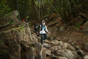 BIB: 
                            <button type="button" onclick="openModal(19551100)" class="btn btn-primary btn-sm float-right btn-popup" data-toggle="modal" data-target=".modal-high-quality">
                        <i class="fas fa-shopping-cart"></i> Add to Cart
                    </button>
                                            <button type="button" onclick="isThisMe(19551100, true)" class="btn btn-success btn-sm float-right btn-popup btn-isme hidden" data-toggle="tooltip" data-placement="bottom" title="นี่คือรูปของคุณใช่ไหม คลิกที่นี่เพื่อเอาเข้าอัลบั้ม">
                        <i class="fas fa-plus"></i> Add to album
                    </button>
                    <button type="button" onclick="isThisMe(19551100, false)" class="btn btn-warning btn-sm float-right btn-popup btn-isnotme hidden">
                        <i class="fas fa-ban"></i> Remove from album
                    </button>