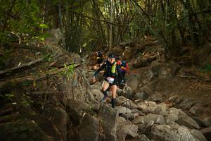 BIB: 
                            <button type="button" onclick="openModal(19550782)" class="btn btn-primary btn-sm float-right btn-popup" data-toggle="modal" data-target=".modal-high-quality">
                        <i class="fas fa-shopping-cart"></i> Add to Cart
                    </button>
                                            <button type="button" onclick="isThisMe(19550782, true)" class="btn btn-success btn-sm float-right btn-popup btn-isme hidden" data-toggle="tooltip" data-placement="bottom" title="นี่คือรูปของคุณใช่ไหม คลิกที่นี่เพื่อเอาเข้าอัลบั้ม">
                        <i class="fas fa-plus"></i> Add to album
                    </button>
                    <button type="button" onclick="isThisMe(19550782, false)" class="btn btn-warning btn-sm float-right btn-popup btn-isnotme hidden">
                        <i class="fas fa-ban"></i> Remove from album
                    </button>