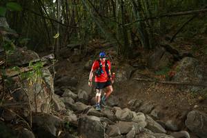 BIB: 
                            <button type="button" onclick="openModal(19551290)" class="btn btn-primary btn-sm float-right btn-popup" data-toggle="modal" data-target=".modal-high-quality">
                        <i class="fas fa-shopping-cart"></i> Add to Cart
                    </button>
                                            <button type="button" onclick="isThisMe(19551290, true)" class="btn btn-success btn-sm float-right btn-popup btn-isme hidden" data-toggle="tooltip" data-placement="bottom" title="นี่คือรูปของคุณใช่ไหม คลิกที่นี่เพื่อเอาเข้าอัลบั้ม">
                        <i class="fas fa-plus"></i> Add to album
                    </button>
                    <button type="button" onclick="isThisMe(19551290, false)" class="btn btn-warning btn-sm float-right btn-popup btn-isnotme hidden">
                        <i class="fas fa-ban"></i> Remove from album
                    </button>