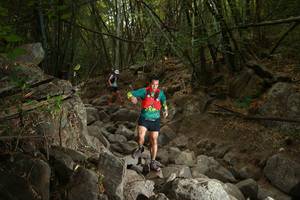 BIB: 
                            <button type="button" onclick="openModal(19550575)" class="btn btn-primary btn-sm float-right btn-popup" data-toggle="modal" data-target=".modal-high-quality">
                        <i class="fas fa-shopping-cart"></i> Add to Cart
                    </button>
                                            <button type="button" onclick="isThisMe(19550575, true)" class="btn btn-success btn-sm float-right btn-popup btn-isme hidden" data-toggle="tooltip" data-placement="bottom" title="นี่คือรูปของคุณใช่ไหม คลิกที่นี่เพื่อเอาเข้าอัลบั้ม">
                        <i class="fas fa-plus"></i> Add to album
                    </button>
                    <button type="button" onclick="isThisMe(19550575, false)" class="btn btn-warning btn-sm float-right btn-popup btn-isnotme hidden">
                        <i class="fas fa-ban"></i> Remove from album
                    </button>