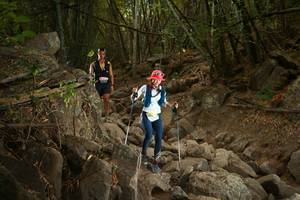 BIB: 
                            <button type="button" onclick="openModal(19551020)" class="btn btn-primary btn-sm float-right btn-popup" data-toggle="modal" data-target=".modal-high-quality">
                        <i class="fas fa-shopping-cart"></i> Add to Cart
                    </button>
                                            <button type="button" onclick="isThisMe(19551020, true)" class="btn btn-success btn-sm float-right btn-popup btn-isme hidden" data-toggle="tooltip" data-placement="bottom" title="นี่คือรูปของคุณใช่ไหม คลิกที่นี่เพื่อเอาเข้าอัลบั้ม">
                        <i class="fas fa-plus"></i> Add to album
                    </button>
                    <button type="button" onclick="isThisMe(19551020, false)" class="btn btn-warning btn-sm float-right btn-popup btn-isnotme hidden">
                        <i class="fas fa-ban"></i> Remove from album
                    </button>