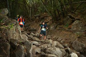 BIB: 
                            <button type="button" onclick="openModal(19551103)" class="btn btn-primary btn-sm float-right btn-popup" data-toggle="modal" data-target=".modal-high-quality">
                        <i class="fas fa-shopping-cart"></i> Add to Cart
                    </button>
                                            <button type="button" onclick="isThisMe(19551103, true)" class="btn btn-success btn-sm float-right btn-popup btn-isme hidden" data-toggle="tooltip" data-placement="bottom" title="นี่คือรูปของคุณใช่ไหม คลิกที่นี่เพื่อเอาเข้าอัลบั้ม">
                        <i class="fas fa-plus"></i> Add to album
                    </button>
                    <button type="button" onclick="isThisMe(19551103, false)" class="btn btn-warning btn-sm float-right btn-popup btn-isnotme hidden">
                        <i class="fas fa-ban"></i> Remove from album
                    </button>