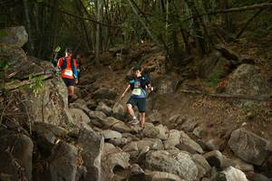 BIB: 
                            <button type="button" onclick="openModal(19551108)" class="btn btn-primary btn-sm float-right btn-popup" data-toggle="modal" data-target=".modal-high-quality">
                        <i class="fas fa-shopping-cart"></i> Add to Cart
                    </button>
                                            <button type="button" onclick="isThisMe(19551108, true)" class="btn btn-success btn-sm float-right btn-popup btn-isme hidden" data-toggle="tooltip" data-placement="bottom" title="นี่คือรูปของคุณใช่ไหม คลิกที่นี่เพื่อเอาเข้าอัลบั้ม">
                        <i class="fas fa-plus"></i> Add to album
                    </button>
                    <button type="button" onclick="isThisMe(19551108, false)" class="btn btn-warning btn-sm float-right btn-popup btn-isnotme hidden">
                        <i class="fas fa-ban"></i> Remove from album
                    </button>