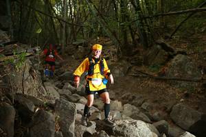 BIB: 
                            <button type="button" onclick="openModal(19550639)" class="btn btn-primary btn-sm float-right btn-popup" data-toggle="modal" data-target=".modal-high-quality">
                        <i class="fas fa-shopping-cart"></i> Add to Cart
                    </button>
                                            <button type="button" onclick="isThisMe(19550639, true)" class="btn btn-success btn-sm float-right btn-popup btn-isme hidden" data-toggle="tooltip" data-placement="bottom" title="นี่คือรูปของคุณใช่ไหม คลิกที่นี่เพื่อเอาเข้าอัลบั้ม">
                        <i class="fas fa-plus"></i> Add to album
                    </button>
                    <button type="button" onclick="isThisMe(19550639, false)" class="btn btn-warning btn-sm float-right btn-popup btn-isnotme hidden">
                        <i class="fas fa-ban"></i> Remove from album
                    </button>