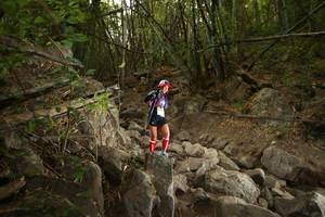 BIB: 
                            <button type="button" onclick="openModal(19551336)" class="btn btn-primary btn-sm float-right btn-popup" data-toggle="modal" data-target=".modal-high-quality">
                        <i class="fas fa-shopping-cart"></i> Add to Cart
                    </button>
                                            <button type="button" onclick="isThisMe(19551336, true)" class="btn btn-success btn-sm float-right btn-popup btn-isme hidden" data-toggle="tooltip" data-placement="bottom" title="นี่คือรูปของคุณใช่ไหม คลิกที่นี่เพื่อเอาเข้าอัลบั้ม">
                        <i class="fas fa-plus"></i> Add to album
                    </button>
                    <button type="button" onclick="isThisMe(19551336, false)" class="btn btn-warning btn-sm float-right btn-popup btn-isnotme hidden">
                        <i class="fas fa-ban"></i> Remove from album
                    </button>