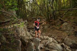 BIB: 
                            <button type="button" onclick="openModal(19551393)" class="btn btn-primary btn-sm float-right btn-popup" data-toggle="modal" data-target=".modal-high-quality">
                        <i class="fas fa-shopping-cart"></i> Add to Cart
                    </button>
                                            <button type="button" onclick="isThisMe(19551393, true)" class="btn btn-success btn-sm float-right btn-popup btn-isme hidden" data-toggle="tooltip" data-placement="bottom" title="นี่คือรูปของคุณใช่ไหม คลิกที่นี่เพื่อเอาเข้าอัลบั้ม">
                        <i class="fas fa-plus"></i> Add to album
                    </button>
                    <button type="button" onclick="isThisMe(19551393, false)" class="btn btn-warning btn-sm float-right btn-popup btn-isnotme hidden">
                        <i class="fas fa-ban"></i> Remove from album
                    </button>