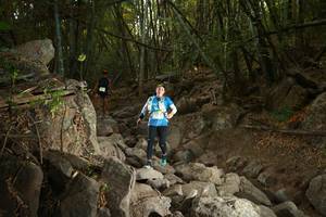 BIB: 
                            <button type="button" onclick="openModal(19550710)" class="btn btn-primary btn-sm float-right btn-popup" data-toggle="modal" data-target=".modal-high-quality">
                        <i class="fas fa-shopping-cart"></i> Add to Cart
                    </button>
                                            <button type="button" onclick="isThisMe(19550710, true)" class="btn btn-success btn-sm float-right btn-popup btn-isme hidden" data-toggle="tooltip" data-placement="bottom" title="นี่คือรูปของคุณใช่ไหม คลิกที่นี่เพื่อเอาเข้าอัลบั้ม">
                        <i class="fas fa-plus"></i> Add to album
                    </button>
                    <button type="button" onclick="isThisMe(19550710, false)" class="btn btn-warning btn-sm float-right btn-popup btn-isnotme hidden">
                        <i class="fas fa-ban"></i> Remove from album
                    </button>