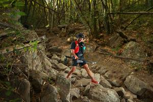 BIB: 
                            <button type="button" onclick="openModal(19551381)" class="btn btn-primary btn-sm float-right btn-popup" data-toggle="modal" data-target=".modal-high-quality">
                        <i class="fas fa-shopping-cart"></i> Add to Cart
                    </button>
                                            <button type="button" onclick="isThisMe(19551381, true)" class="btn btn-success btn-sm float-right btn-popup btn-isme hidden" data-toggle="tooltip" data-placement="bottom" title="นี่คือรูปของคุณใช่ไหม คลิกที่นี่เพื่อเอาเข้าอัลบั้ม">
                        <i class="fas fa-plus"></i> Add to album
                    </button>
                    <button type="button" onclick="isThisMe(19551381, false)" class="btn btn-warning btn-sm float-right btn-popup btn-isnotme hidden">
                        <i class="fas fa-ban"></i> Remove from album
                    </button>