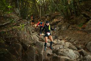 BIB: 
                            <button type="button" onclick="openModal(19550779)" class="btn btn-primary btn-sm float-right btn-popup" data-toggle="modal" data-target=".modal-high-quality">
                        <i class="fas fa-shopping-cart"></i> Add to Cart
                    </button>
                                            <button type="button" onclick="isThisMe(19550779, true)" class="btn btn-success btn-sm float-right btn-popup btn-isme hidden" data-toggle="tooltip" data-placement="bottom" title="นี่คือรูปของคุณใช่ไหม คลิกที่นี่เพื่อเอาเข้าอัลบั้ม">
                        <i class="fas fa-plus"></i> Add to album
                    </button>
                    <button type="button" onclick="isThisMe(19550779, false)" class="btn btn-warning btn-sm float-right btn-popup btn-isnotme hidden">
                        <i class="fas fa-ban"></i> Remove from album
                    </button>