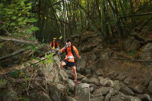 BIB: 
                            <button type="button" onclick="openModal(19551591)" class="btn btn-primary btn-sm float-right btn-popup" data-toggle="modal" data-target=".modal-high-quality">
                        <i class="fas fa-shopping-cart"></i> Add to Cart
                    </button>
                                            <button type="button" onclick="isThisMe(19551591, true)" class="btn btn-success btn-sm float-right btn-popup btn-isme hidden" data-toggle="tooltip" data-placement="bottom" title="นี่คือรูปของคุณใช่ไหม คลิกที่นี่เพื่อเอาเข้าอัลบั้ม">
                        <i class="fas fa-plus"></i> Add to album
                    </button>
                    <button type="button" onclick="isThisMe(19551591, false)" class="btn btn-warning btn-sm float-right btn-popup btn-isnotme hidden">
                        <i class="fas fa-ban"></i> Remove from album
                    </button>